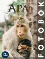 Apa