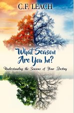 What Season Are You In?