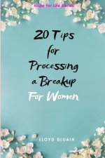 20 Tips for Processing a Breakup