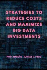 STRATEGIES TO REDUCE COSTS AND MAXIMIZE BIG DATA INVESTMENTS