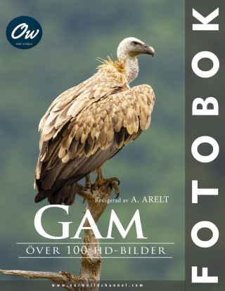 Gam