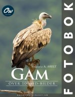 Gam