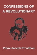 Confessions of a Revolutionary