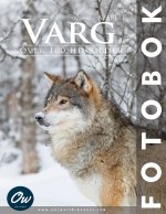 Varg