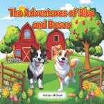 The Adventures of Blue and Bosco