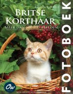 Britse Korthaar