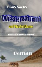 Wüstensturm