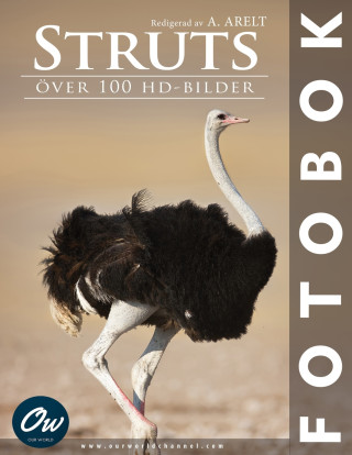 Struts