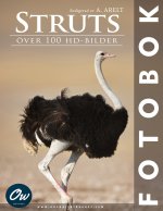 Struts