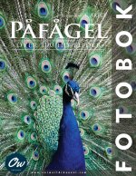 Påfågel