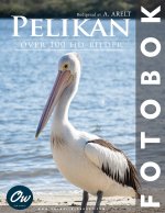Pelikan