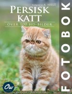 Persisk katt