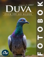 Duva