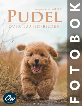 Pudel