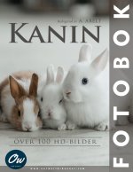 Kanin