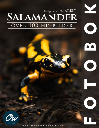 Salamander