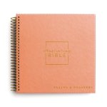 Illustrating Bible NIV: Books of Psalms and   Proverbs - Spiral Bound Bible Journal