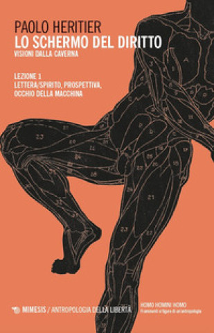 schermo del diritto