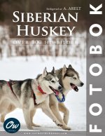 Siberian Huskey