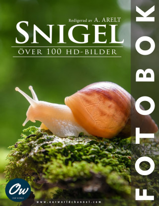 Snigel