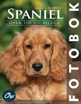 Spaniel