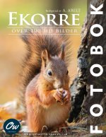 Ekorre