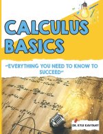 Calculus Basics