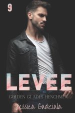 Levee