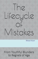 The Lifecycle of Mistakes