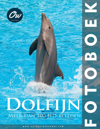 Dolfijn