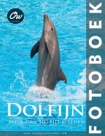 Dolfijn