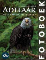 Adelaar