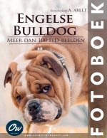 Engelse Bulldog