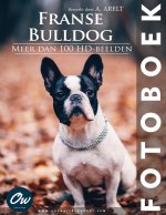 Franse Bulldog