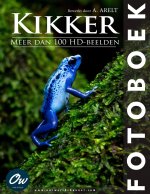 Kikker