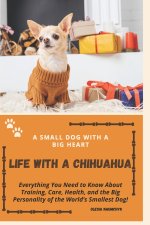 Life with a Chihuahua