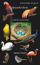 Beautiful Birds