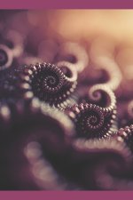 The Pulse of Chaos