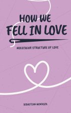 How We Fell in Love