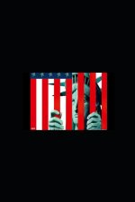 American Impasse