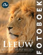 Leeuw