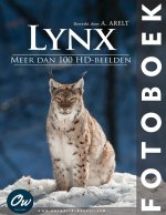 Lynx
