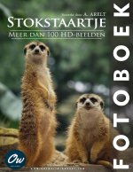 Stokstaartje