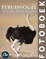 Struisvogel