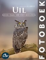Uil
