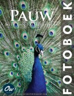 Pauw