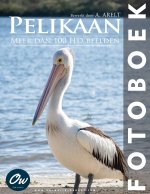 Pelikaan