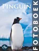 Pinguïn