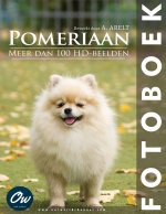 Pomeriaan
