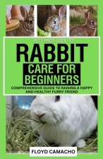 Pets Pros' Rabbit Care for Beginners